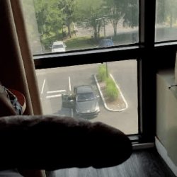 Jacking off in the hotel window watches chicks in the parking lot